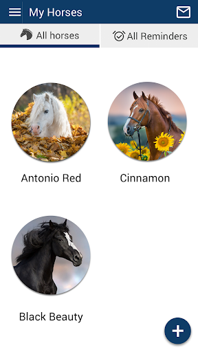 Piedmont Equine Associates Screen 3