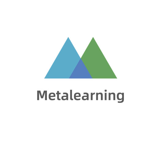 Metalearning logo