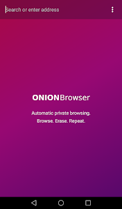 Onion Search Engine: Privacy a Unknown