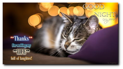 Good Night Phrases sweet dream Screen 3