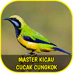 Cover Image of Herunterladen Kicau Cucak Cungkok 1.4 APK