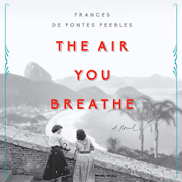 Icon image The Air You Breathe: A Novel