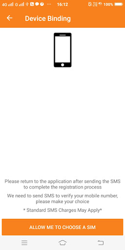 RNSB Positive Pay Screen 3