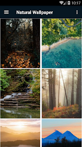 Natural Wallpaper 1.3 APK + Mod (Free purchase) for Android