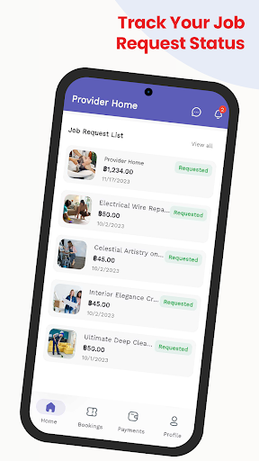 Provider - Thai Home Repairs