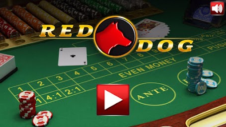 50 Card Games in one app