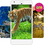 Animal Wallpaper Free Download icon