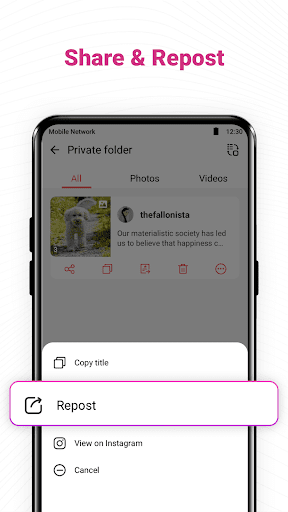 Video downloader, Story saver