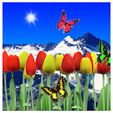 Tulips live wallpapers icon