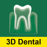 3D Dental A-Z: Anatomy & more! icon