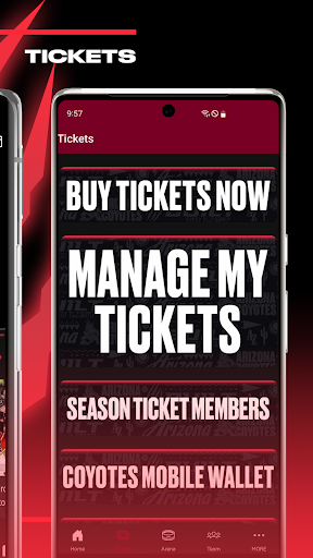 Screenshot of Arizona Coyotes