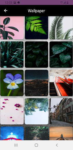 Funny Ringtone And Wallpaper