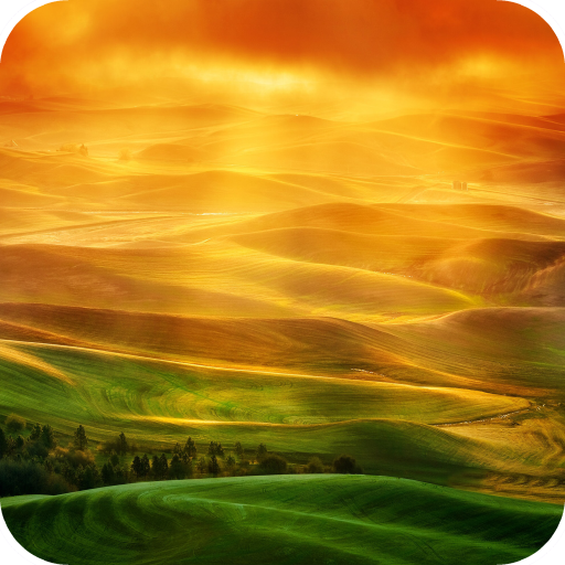 Field Wallpaper logo