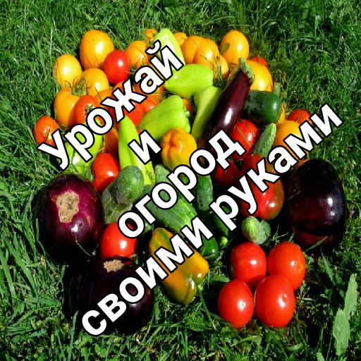 Урожай, огород, рассада logo