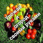 Cover Image of Download Урожай, огород, рассада своими руками 1.0.6 APK