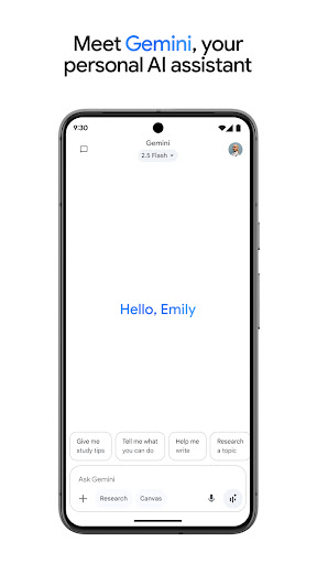 Google Gemini screenshot 1