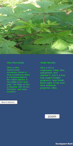 Plants Identifier Screen 3