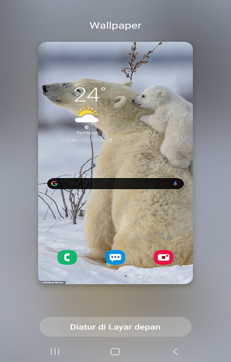 Background  polar Bears Wallpaper