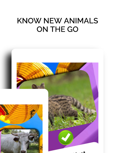 MATCH N CATCH - ANIMALS