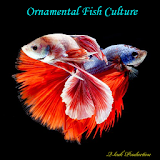 Ornamental Fish Culture icon
