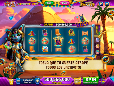 Imagen de la captura de pantalla