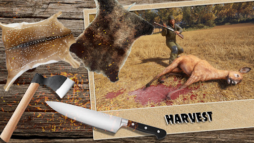 Pig Shooting Wild Animals Hunt Screen 3