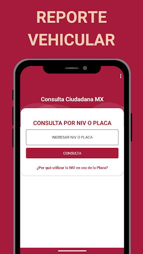 Consulta Ciudadana MX 2024 Screen 2