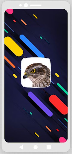 Android application Hawk Sounds screenshort