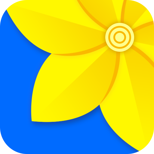 HD Gallery - Photo Video Download on Windows