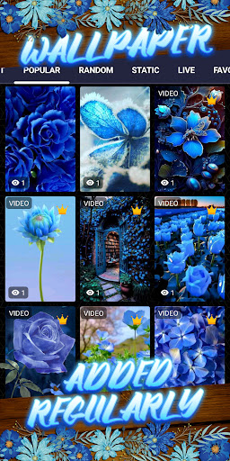 blue flower wallpaper