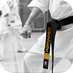 Cover Image of Descargar Karate. Sport Wallpapers  APK