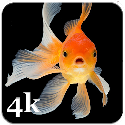 Icon image Fish Live Wallpapers