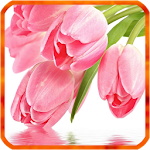 Cover Image of 下载 Tulip Live Wallpapers  APK