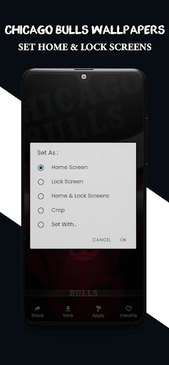 Chicago Bulls Wallpapers HD 4K