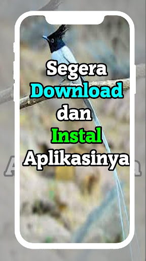 Pancingan Kacer Terlengkap