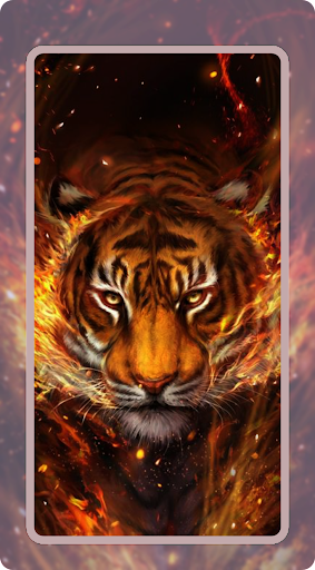 Download Tiger Wallpaper HD Free for Android - Tiger Wallpaper HD APK  Download 