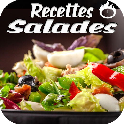 Recettes Salades  Icon