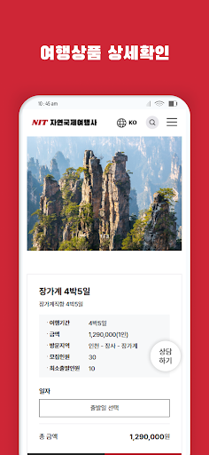 자연국제여행사