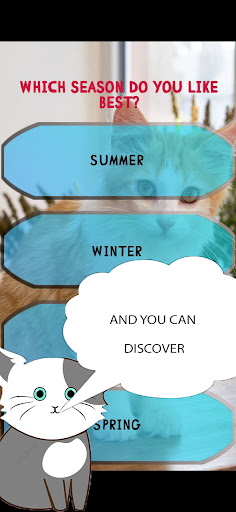 Test What kind of cat are you?