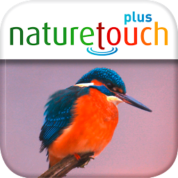 Icon image Identify live bird songs, natu