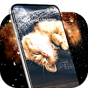 wallpapers with cats