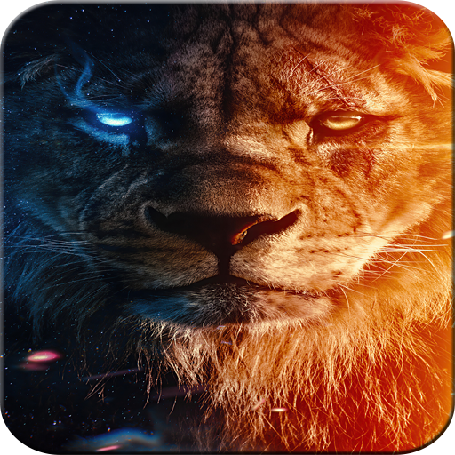 Lion Wallpaper HD logo