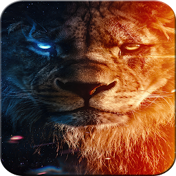 Icon image Lion Wallpaper HD