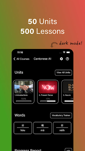 Lingora: Language Learning Screen 2
