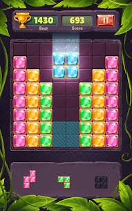 Block Puzzle Mod Apk app for Android 1