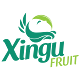 Xingu Fruit Windows'ta İndir