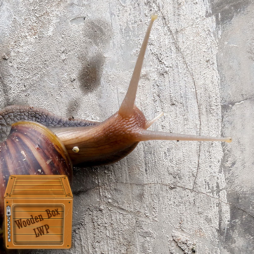 snail wallpaper logo