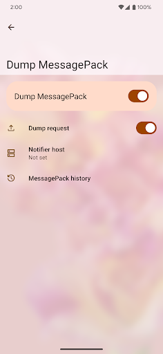 Localify Settings Screen 3