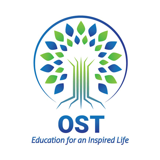 OST & KAIZEN Institute logo