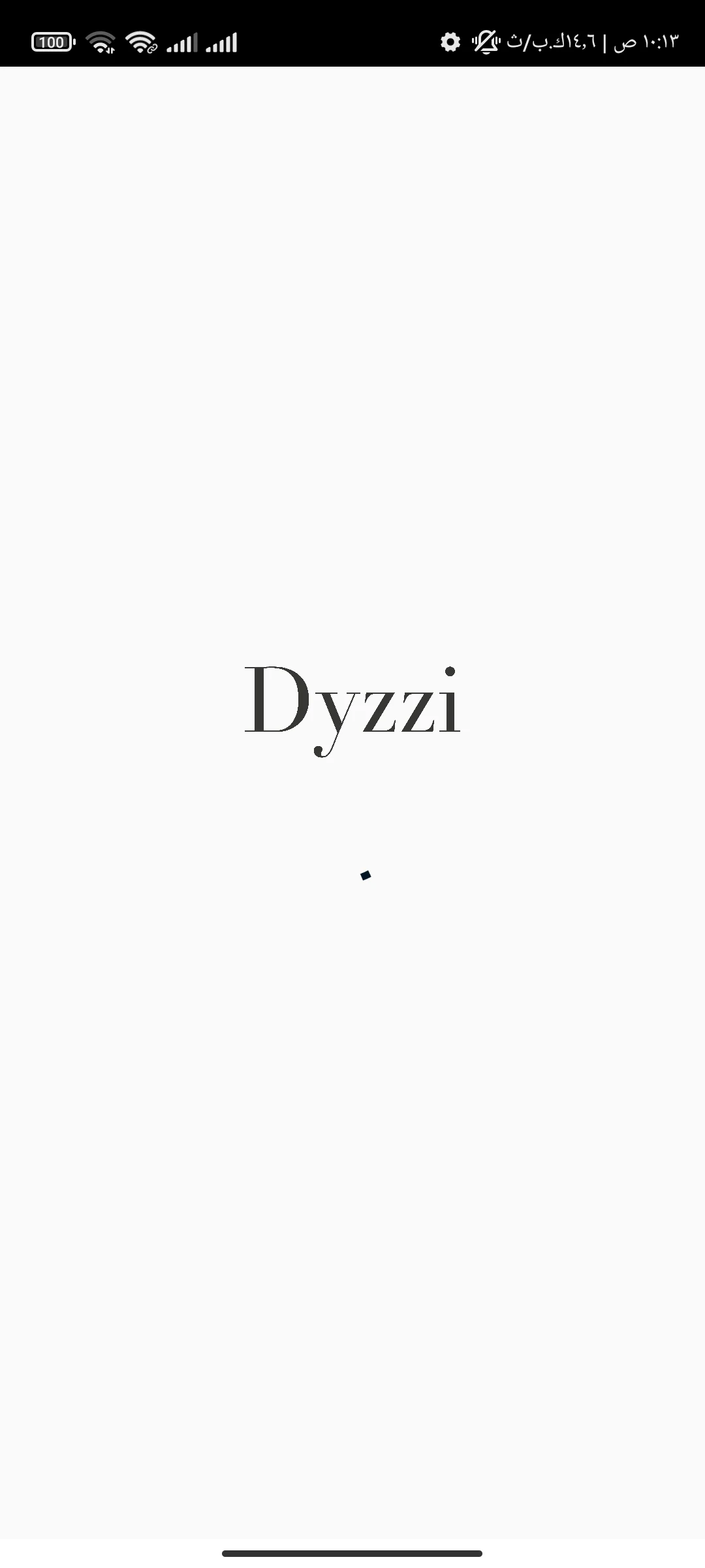 Dyzzi Store